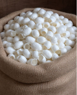 İpek Böceği Kozası Peeling Amaçlı Kesik Cilt Bakım Kozası 100 Adet 
